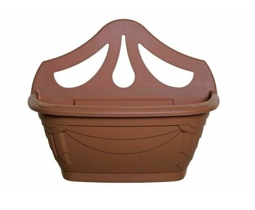 Venetian plant flower - venetian,