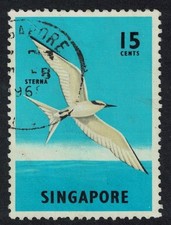 Black-naped tern Bird 15c