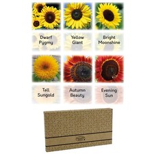Sunflower Seeds for Planting UK | 6 Varieties | Red & Yellow Sunflowers
