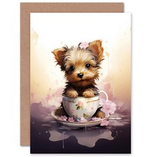 Tea Cup Yorkshire Terrier