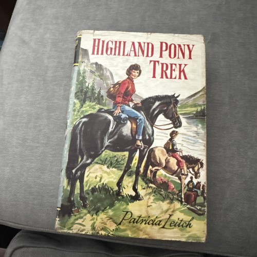 Highland pony trek patricia - highland,
