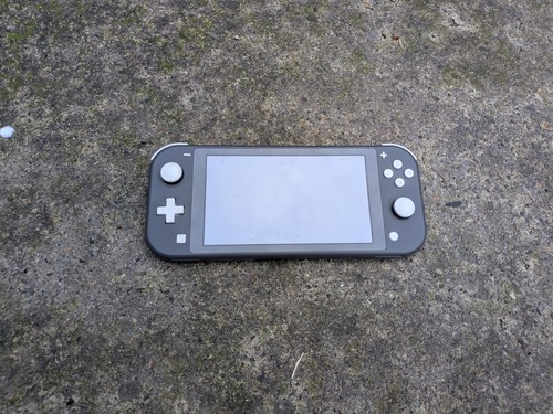 Nintendo switch lite - nintendo,