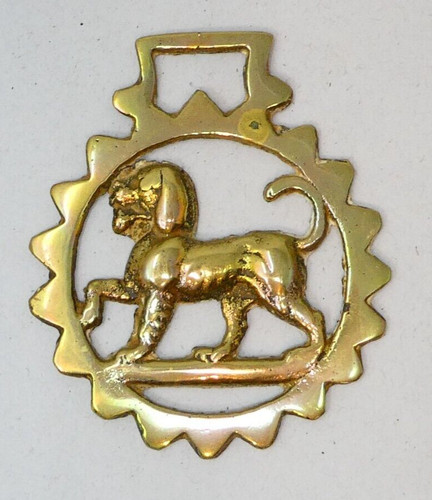 Horse brass lion sunburst - horse,