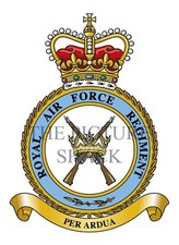 RAF REGIMENT CREST ON A METAL