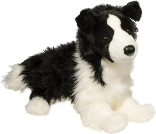 Chase border collie dog - collie,