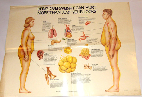 Vtg 1974 overweight can - vtg, hurt