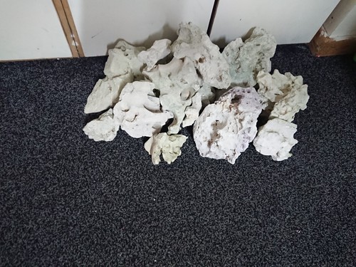 Approx live ocean rocks - approx, 30