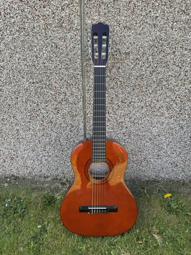 Ashton classical acoustic - ashton,
