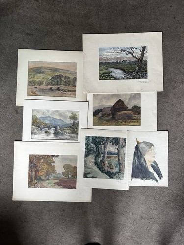 Collection vintage - collection, of