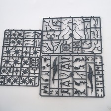Warhammer AoS - Hedonites of