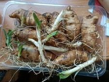 Organic Freshly dug washed