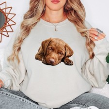 Sleeping Chocolate Labrador