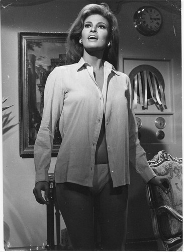 Raquel welch original press - raquel,