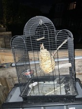 STR2 Pet Bird Cage for Budgie Parakeet Canary Love Birds Small Birds 47x36x65Hcm