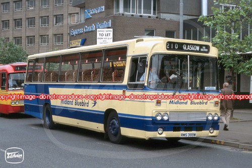 Bus photo midland bluebird - bus,