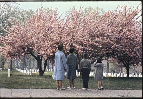 Vtg 35mm color slide - vtg,