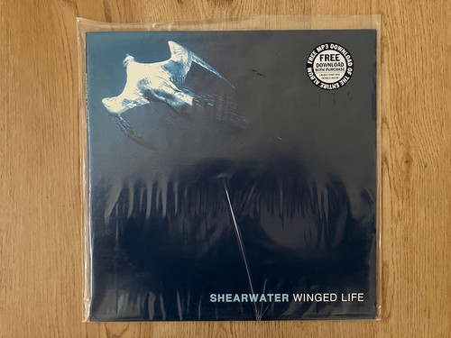 Shearwater winged life - shearwater,
