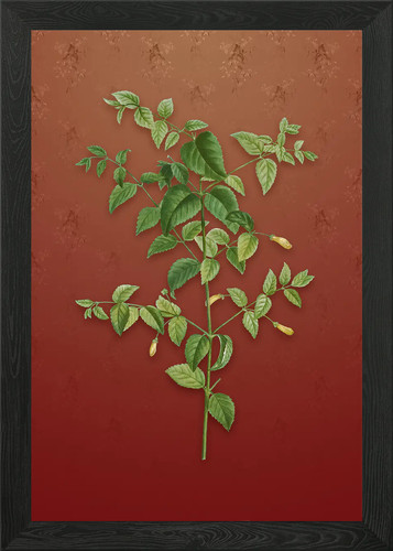 Vintage tree fuchsia framed - vintage,