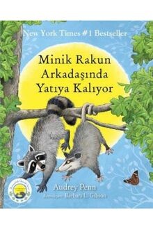 Minik rakun arkadasinda yatiya - rakun,
