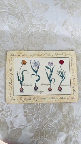 Set cloverleaf tulip - 3,