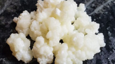 Kefir Grains - 10g - Improve