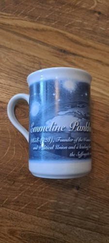 Berkshire china suffragettes - china,