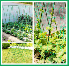 3x Pea and Bean Netting