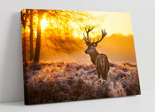 Stag large canvas wall art - stag,