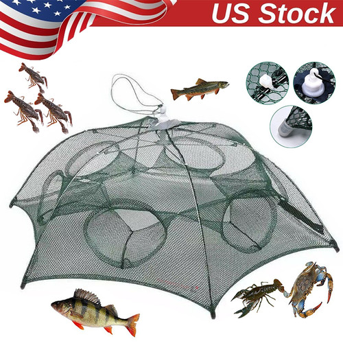 Fishing bait trap - trap, crab