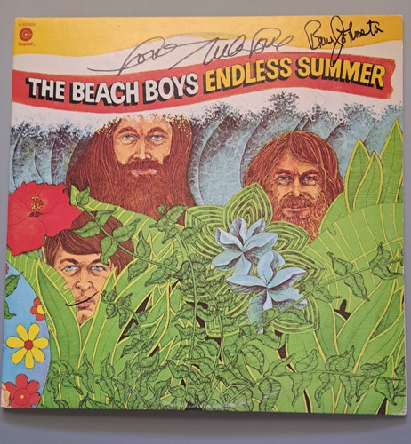 The beach boys endless - boys, summer