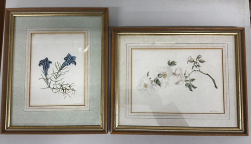 Vintage framed pictures pair - framed,