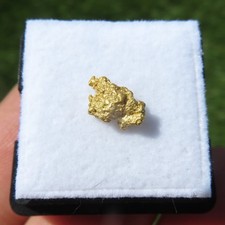 Rare Natural Crystallized Gold
