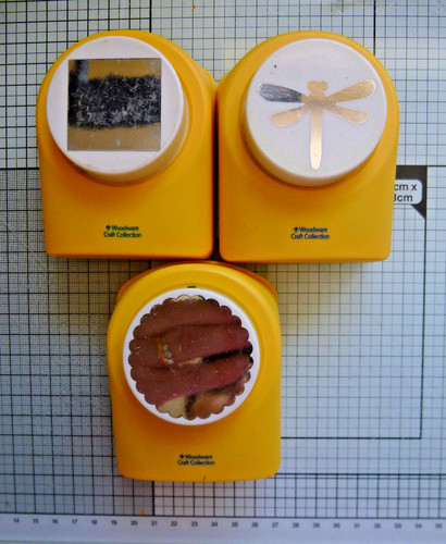 Medium punches scalloped - punches,