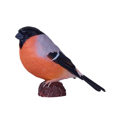 Mojo eurasian bullfinch wild - eurasian,