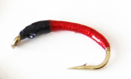 Red buzzers bloodworm - buzzers,