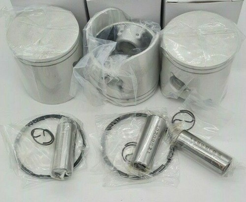 Std piston kit 60 - std,