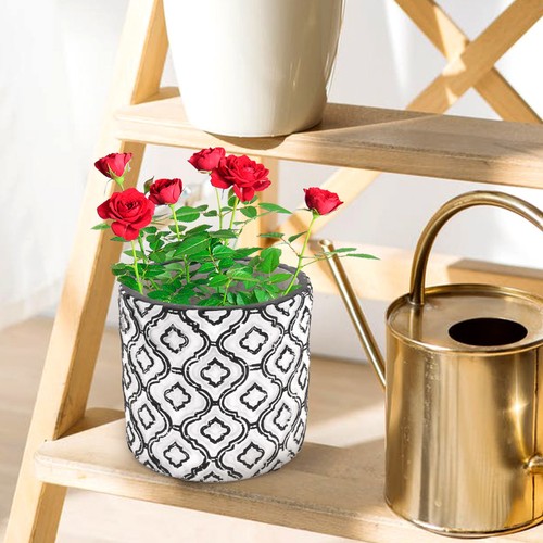 Flower planting pot succulent - flower,