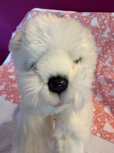 Bocchetta pookie white westie - pookie,