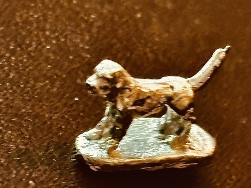 Tiny silver coloured puppy - silver,