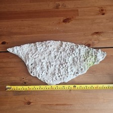 Live dry Marine Rock - Large
