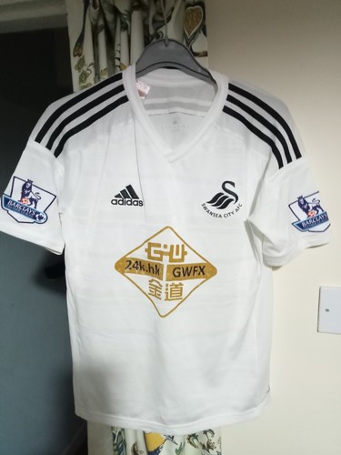 Swansea city premier league - city,