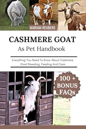 Cashmere goat everything you - cashmere,