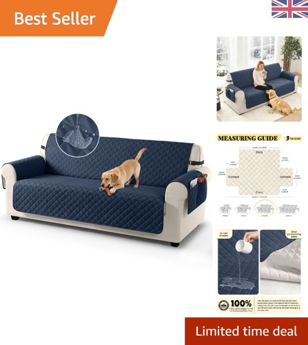 Luxury dark blue - blue, sofa