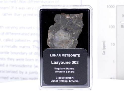 Laâyoune 002 lunar meteorite - lunar,