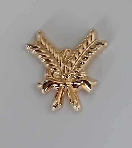 Masonic secretary lapel - masonic,
