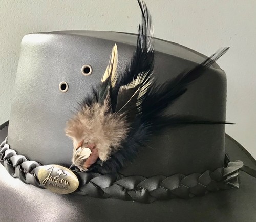 Natural hat feather for all - natural,