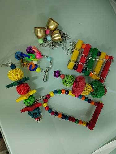 6pcs set parrot - set, birds