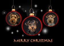 Christmas Cards -  Welsh