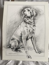 Pollyanna Pickering Doberman