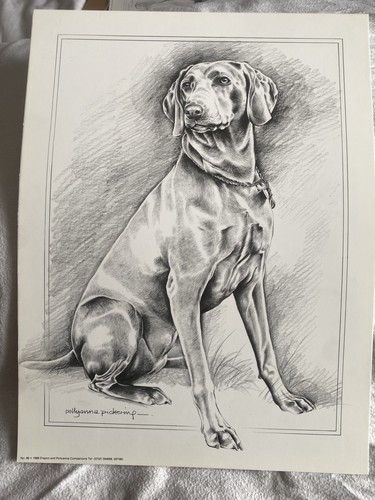 Pollyanna pickering doberman - pollyanna,